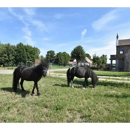 Gutshof Detershagen Xl Holiday home